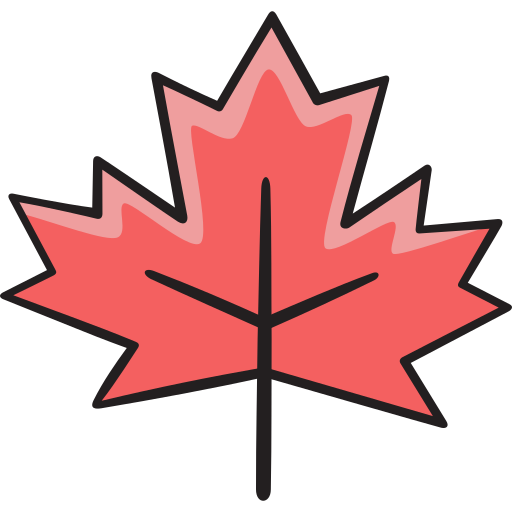 Red maple leaf
